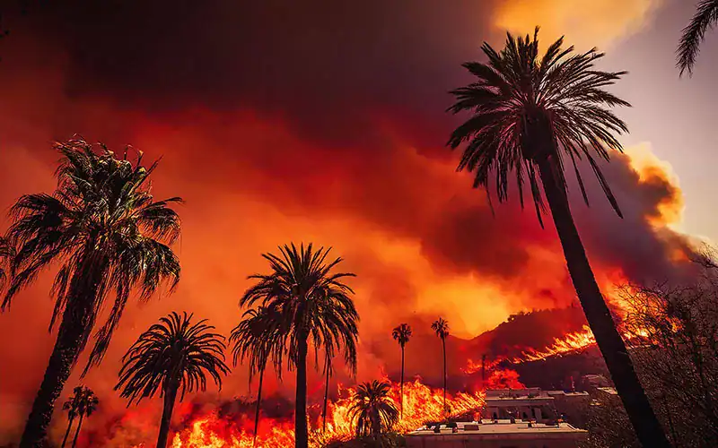 Licensing After A Disaster