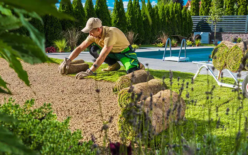 C‑27 Landscaping Contractor License