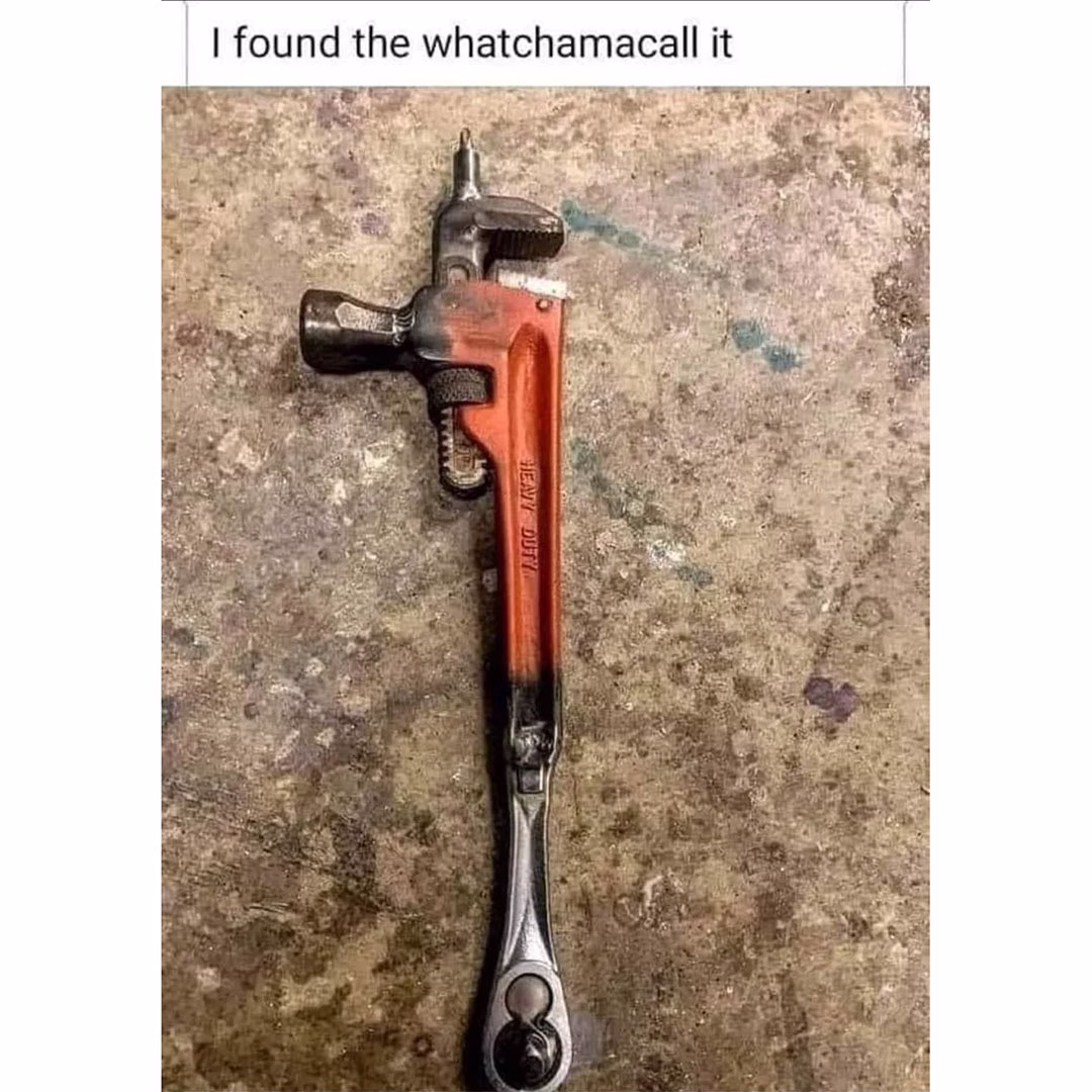I found a watchamacallit